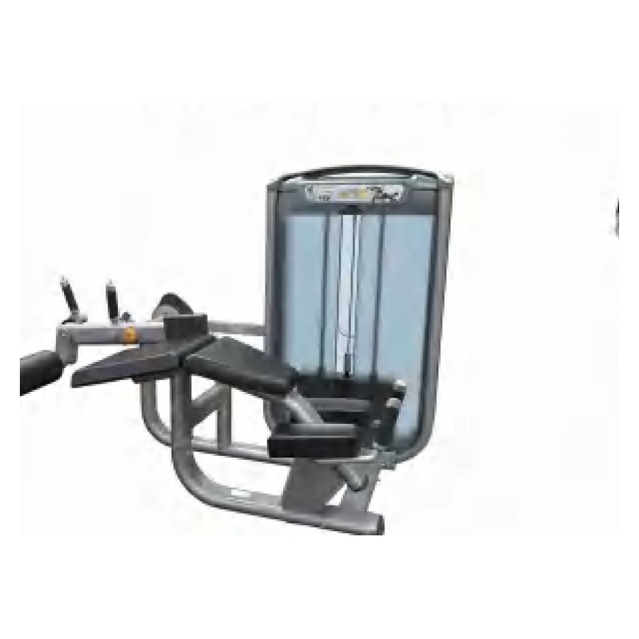 Prone Leg Curl WDF-LB-GM54
