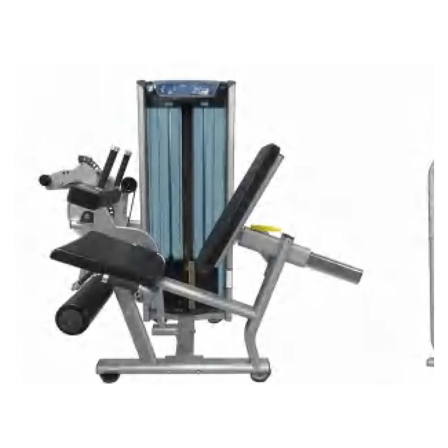 Leg Curl/Extension WDF-LB-VS17