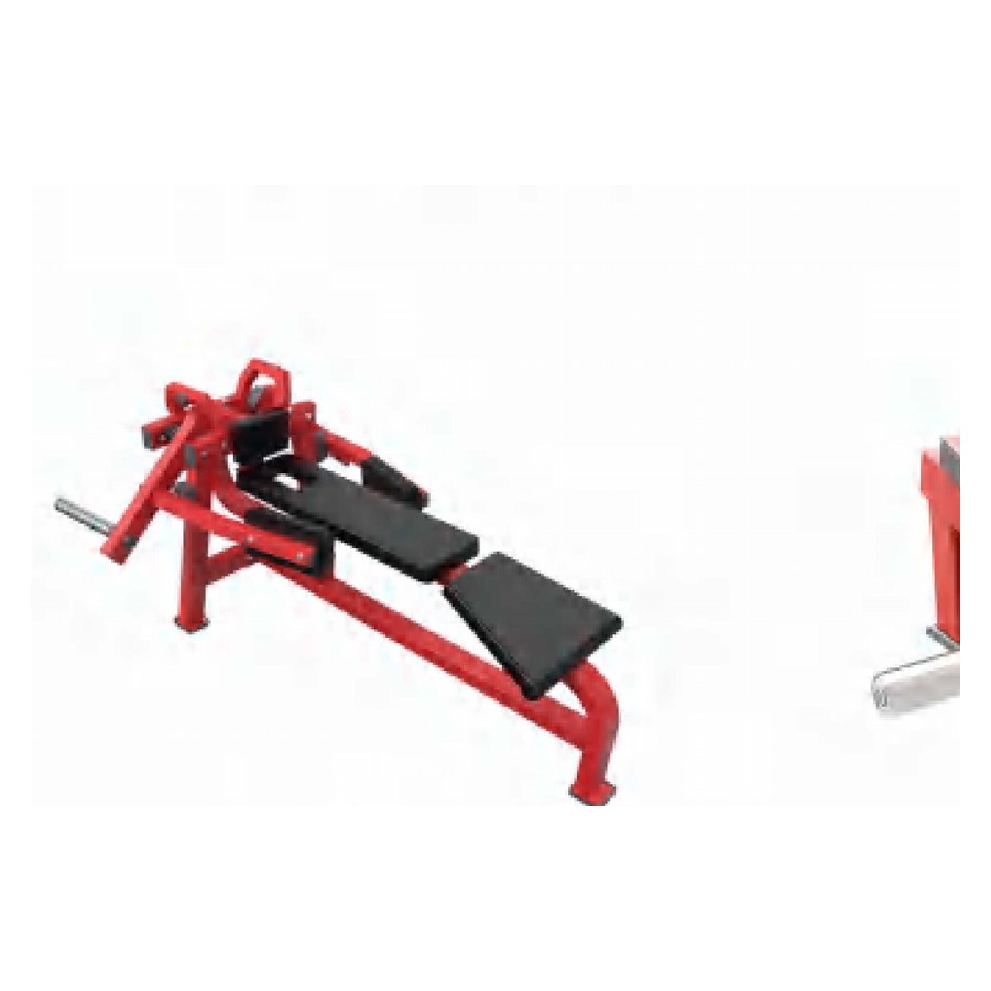 Lateral Rear Deltoid WDF-LB-SH48