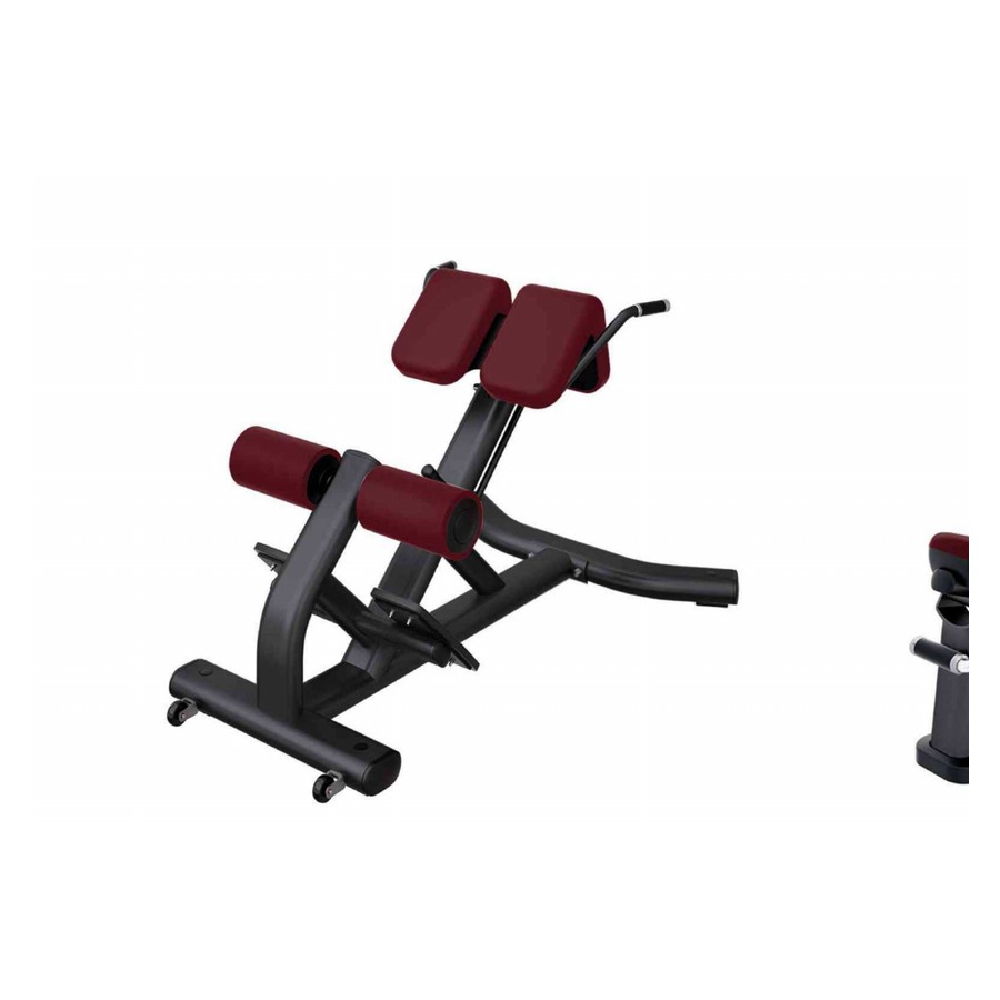 Back Extension WDF-LB-LJ38
