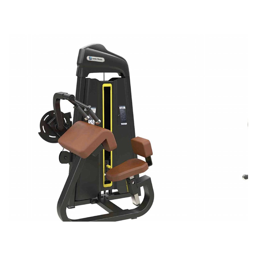 Tricep Extension WDF-LB-B1028