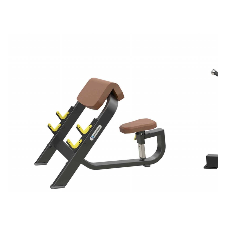 Bicep Taining Rack WDF-LB-B1044