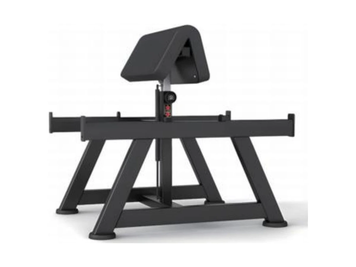 WDF-BR-005 preacher curl bench commercial gym equipment