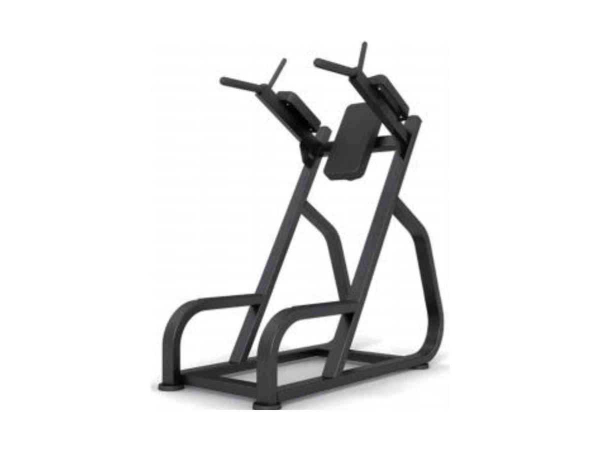 WDF-BR-007 dip and leg raise station commercial gym equipment