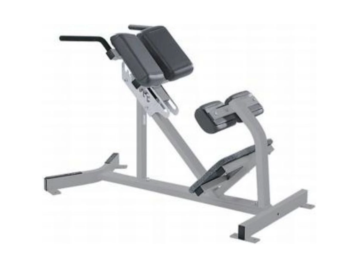 WDF-BR-030 back extensor (roman chair) commercial gym equipment