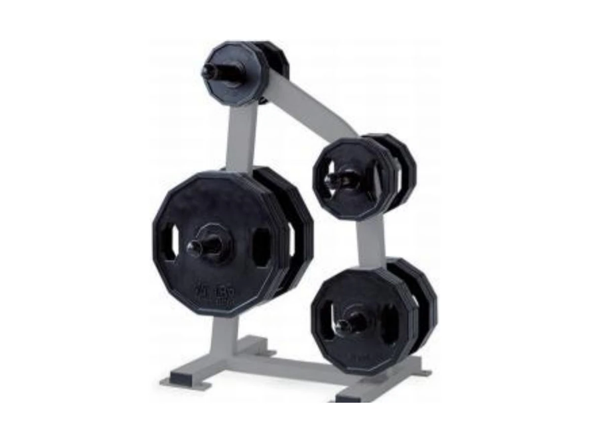 WDF-BR-036 deluxe weight plate tree commercial gym equipment
