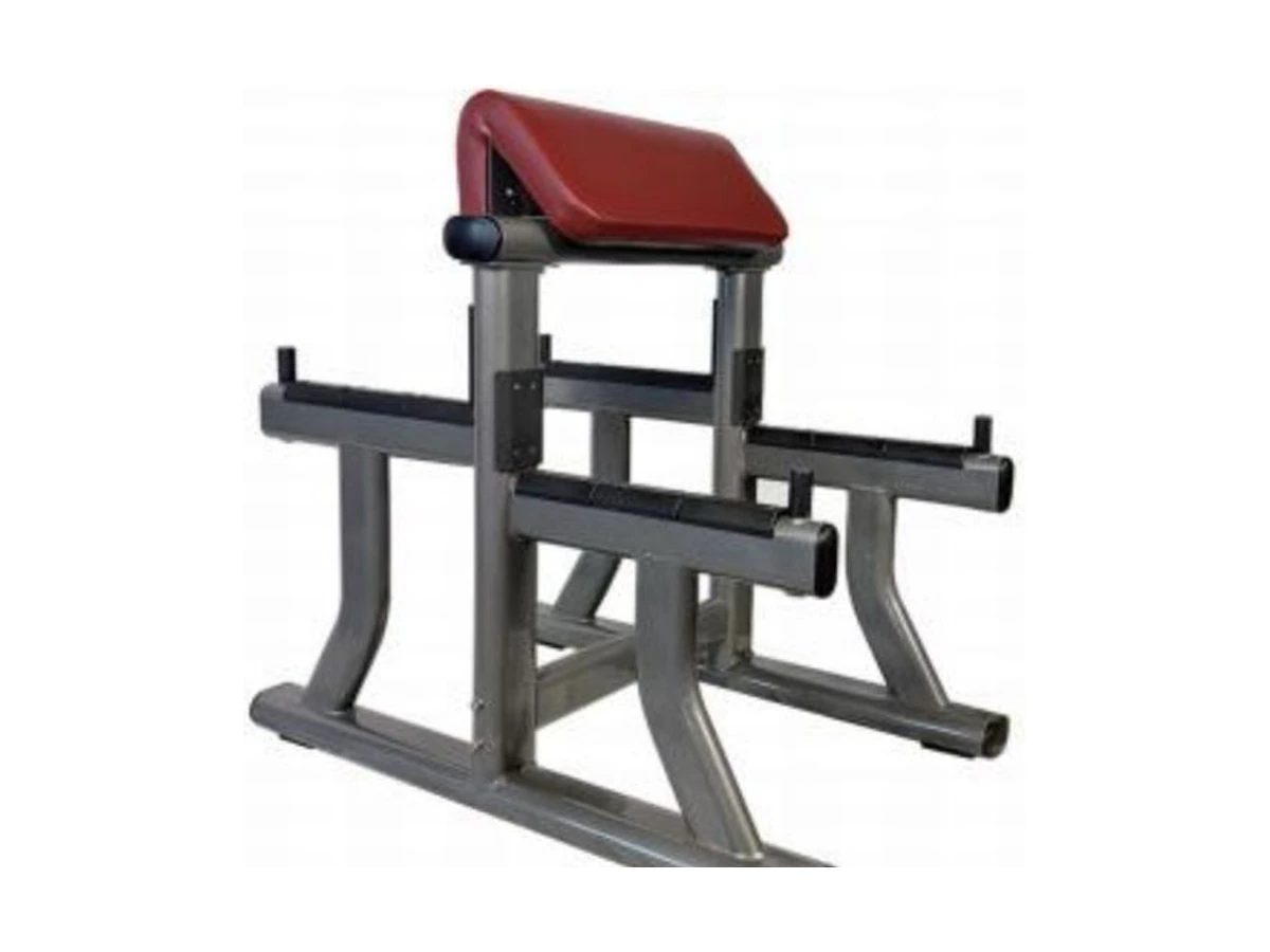 WDF-BR-042 preacher curl bench commercial gym equipment