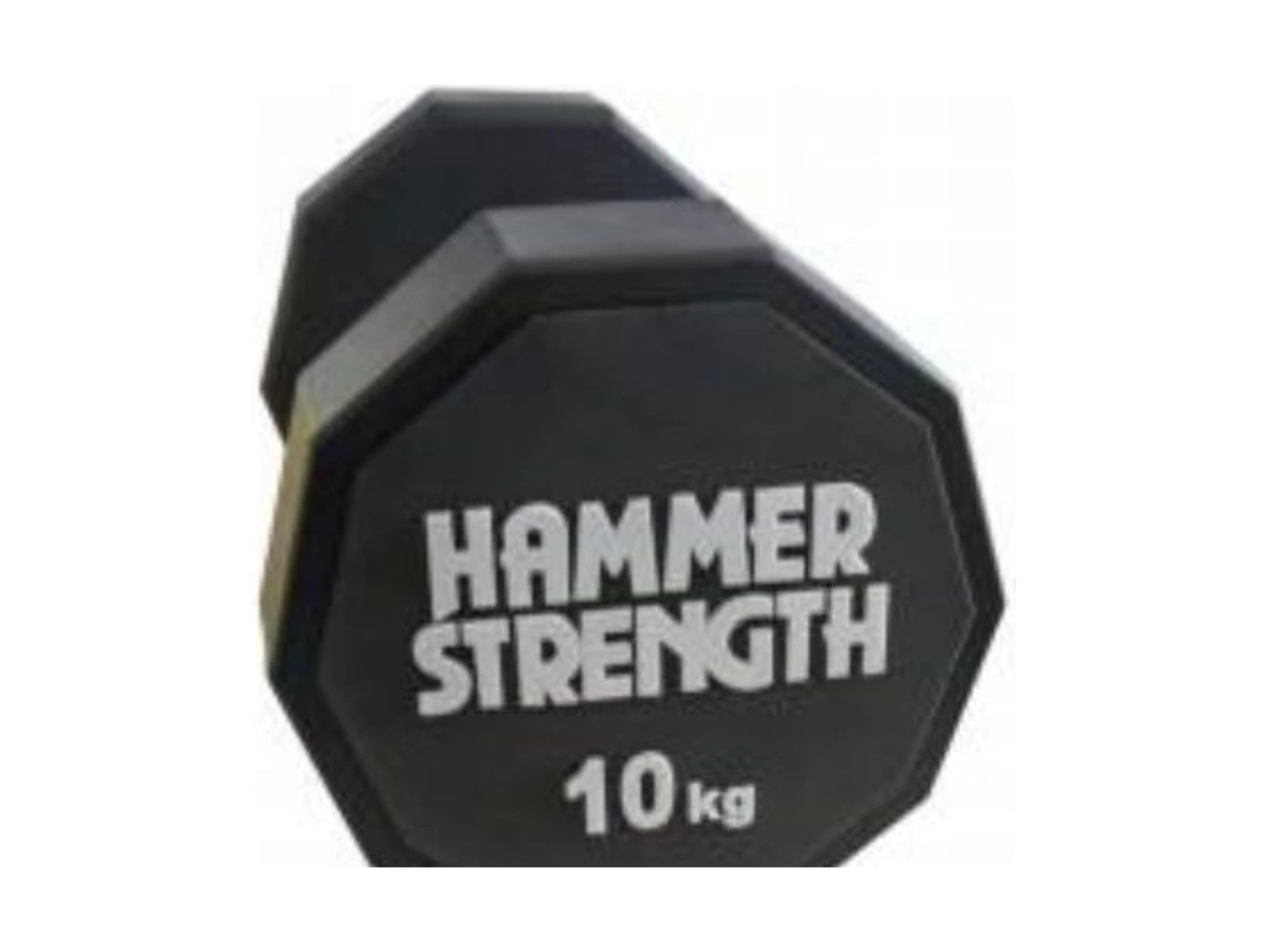 WDF-DB-008 hummer ten-sided dumbbell commercial gym equipment