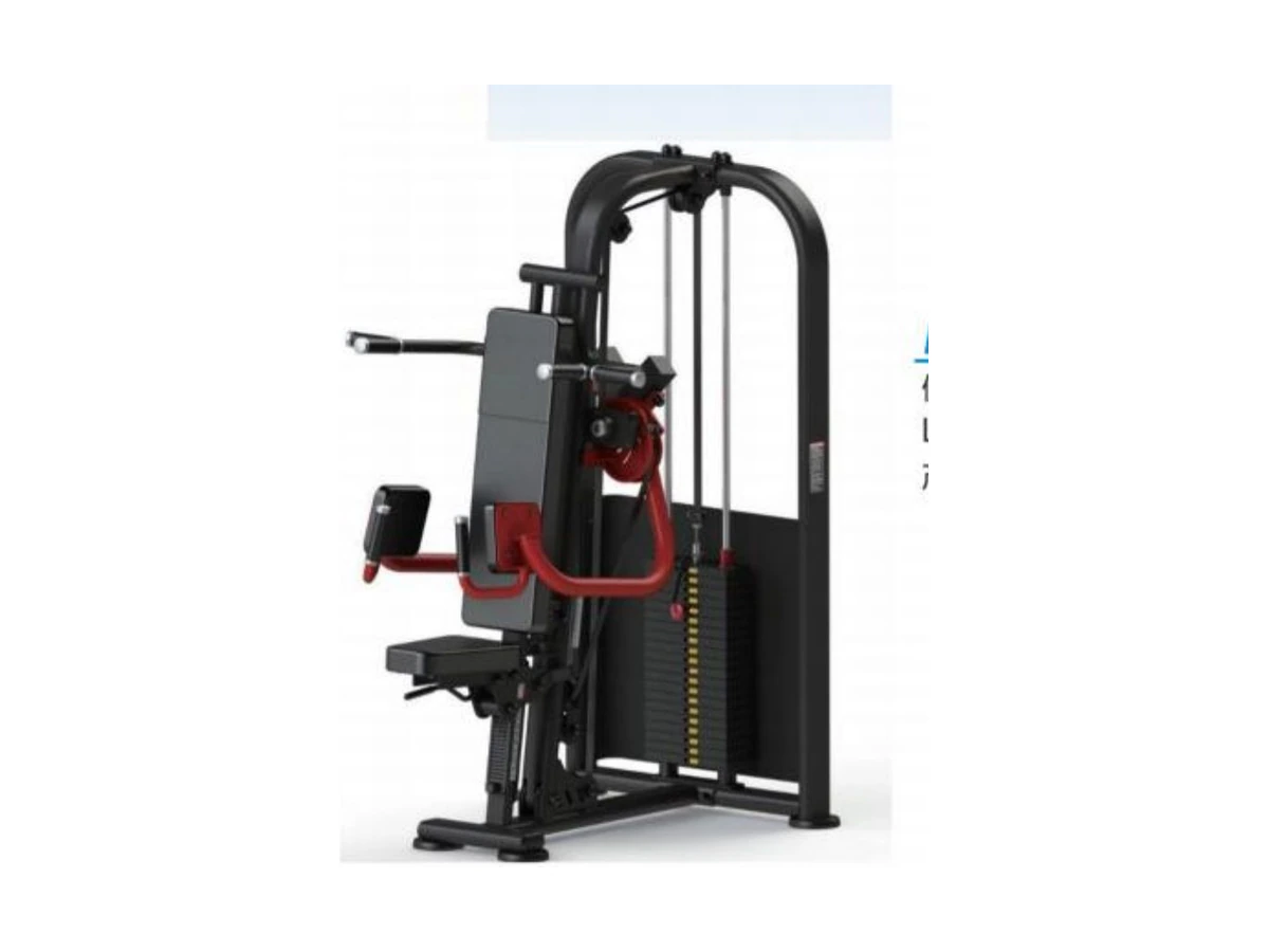WDF-PL-023 lateral raise shrug shoulders commercial gym equipment