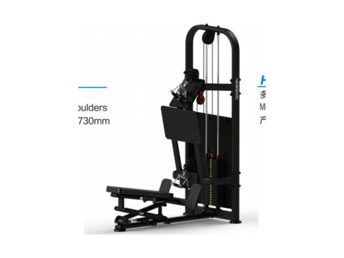 WDF-PL-024 multi-angle high and low integrated machine commercial gym equipment
