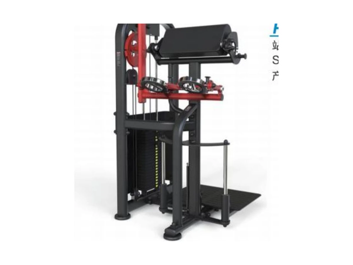 WDF-PL-025 standing biceps trainer commercial gym equipment