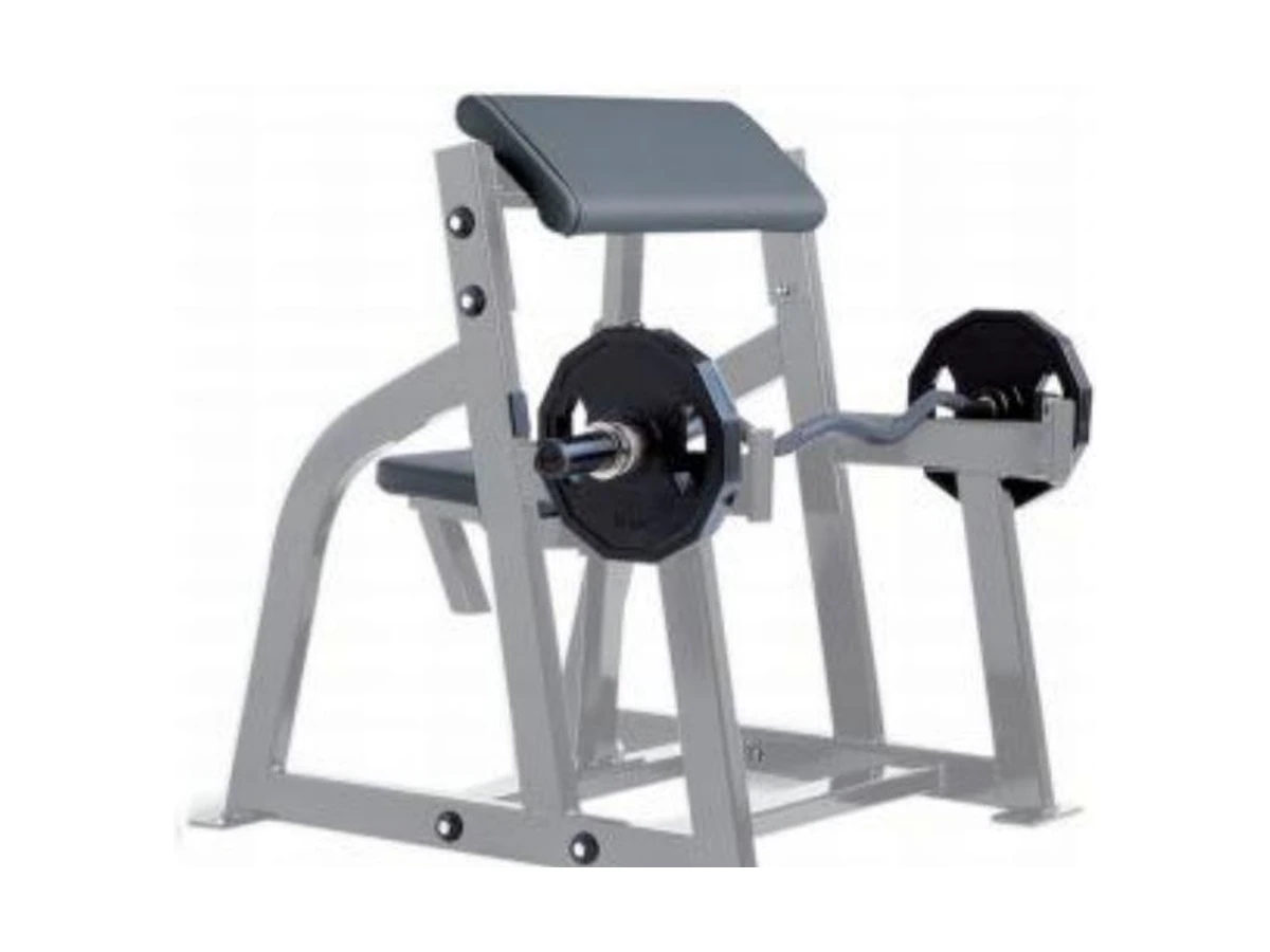 Commercial Seated Biceps Curl Machine WDF-PL-092 WDER Commercial Gym Equipment