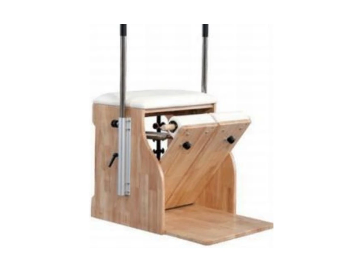 WDF-PT-004 stability chair commercial gym equipment