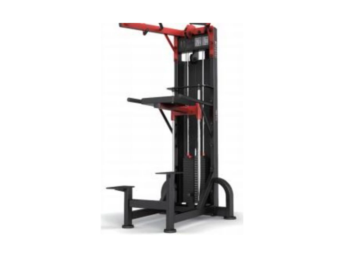 WDF-SL-002 chin-up and dip assist machine commercial gym equipment