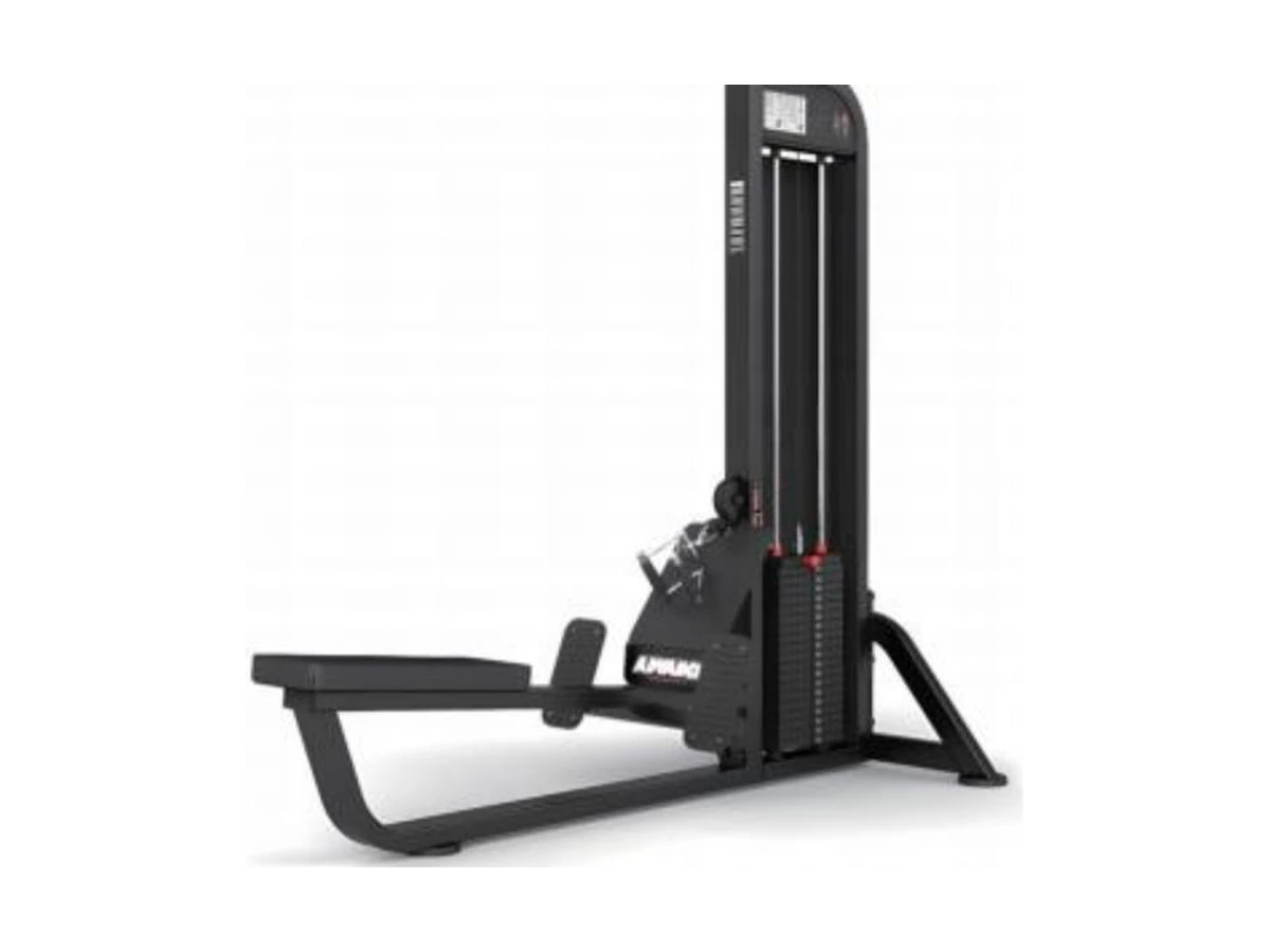 WDF-SL-010 low pulley commercial gym equipment