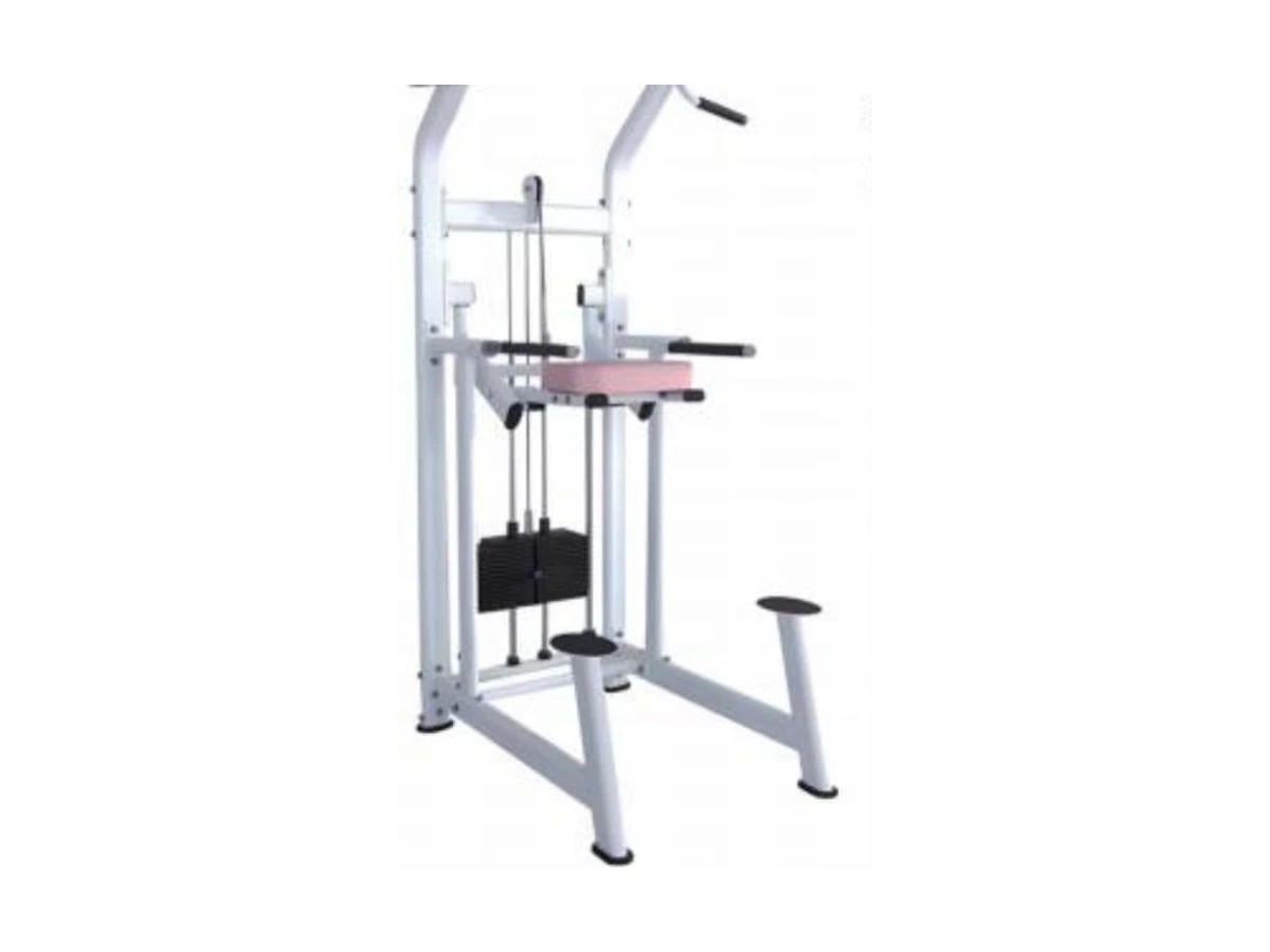 WDF-SL-014 dip and chin assist machine commercial gym equipment
