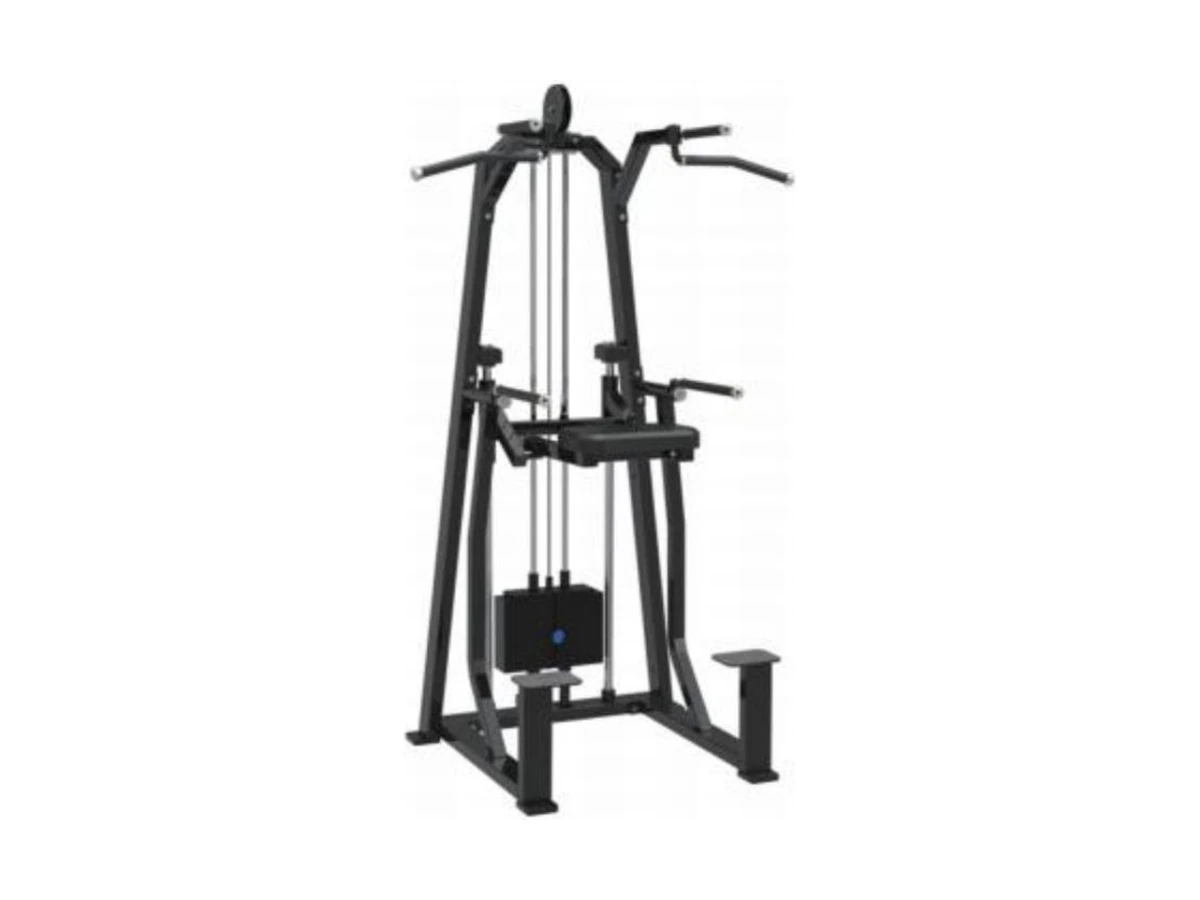WDF-SL-018 dip and chin assist machine commercial gym equipment