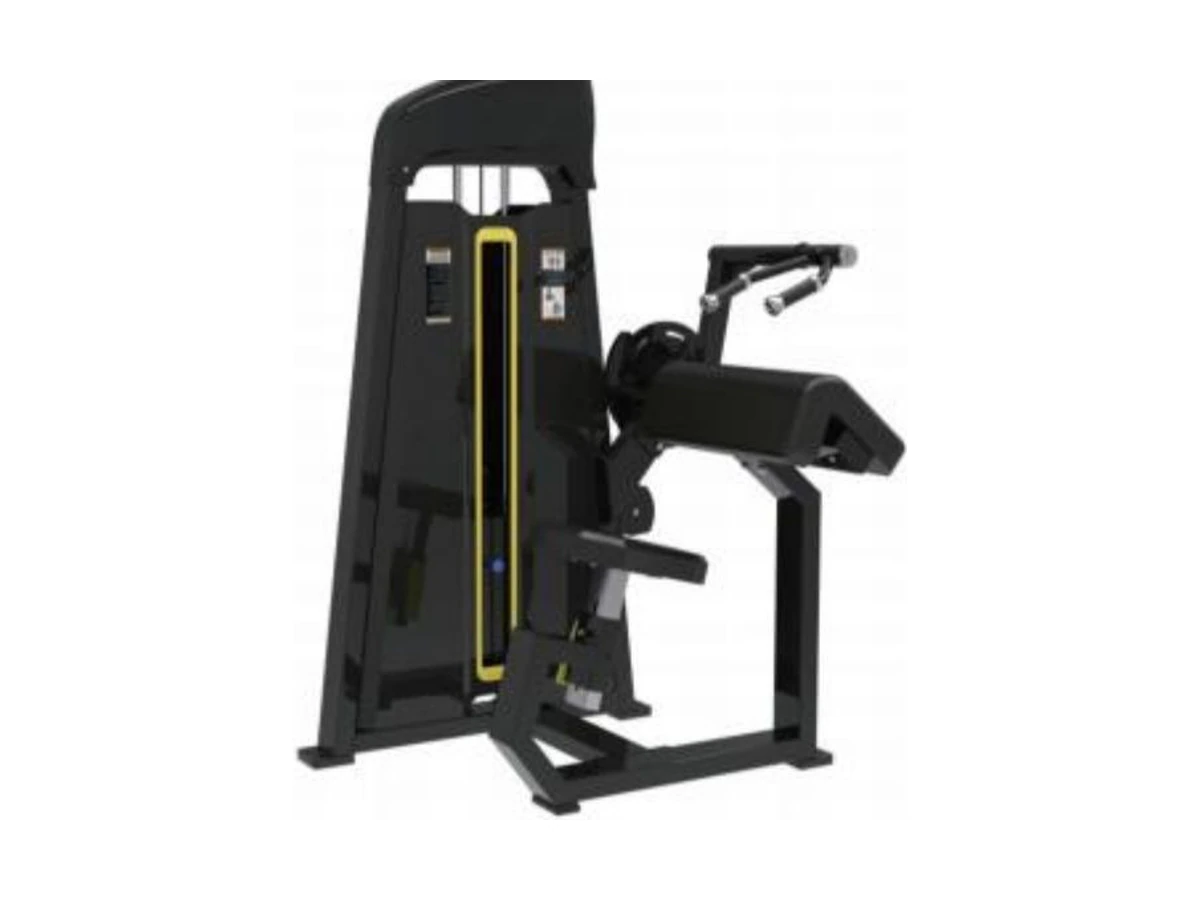WDF-SL-022 45degree triceps extension commercial gym equipment