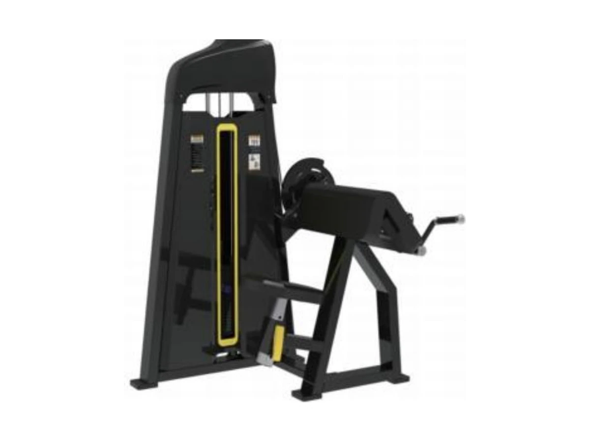 WDF-SL-023 45degree camber curl commercial gym equipment
