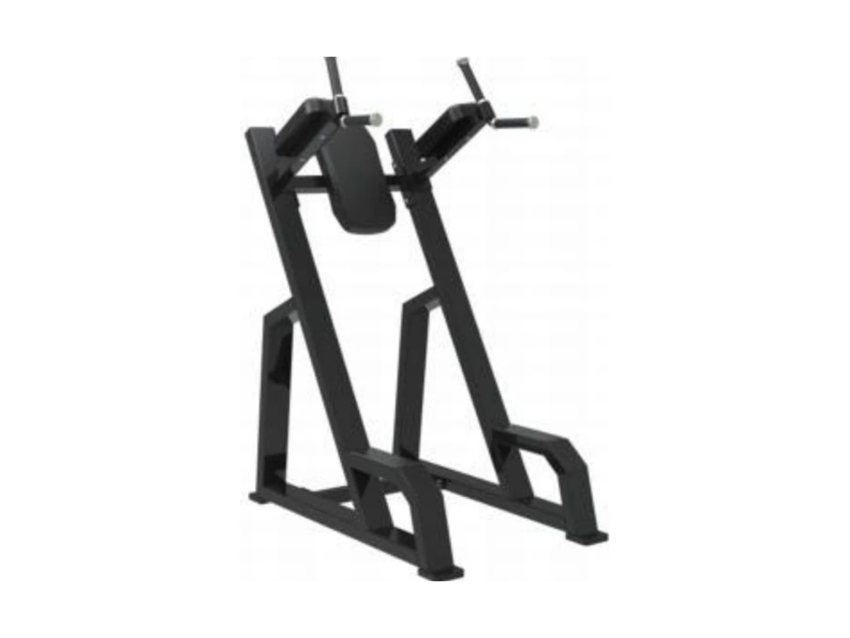 WDF-SL-030 vertical knee raise and dip station commercial gym equipment