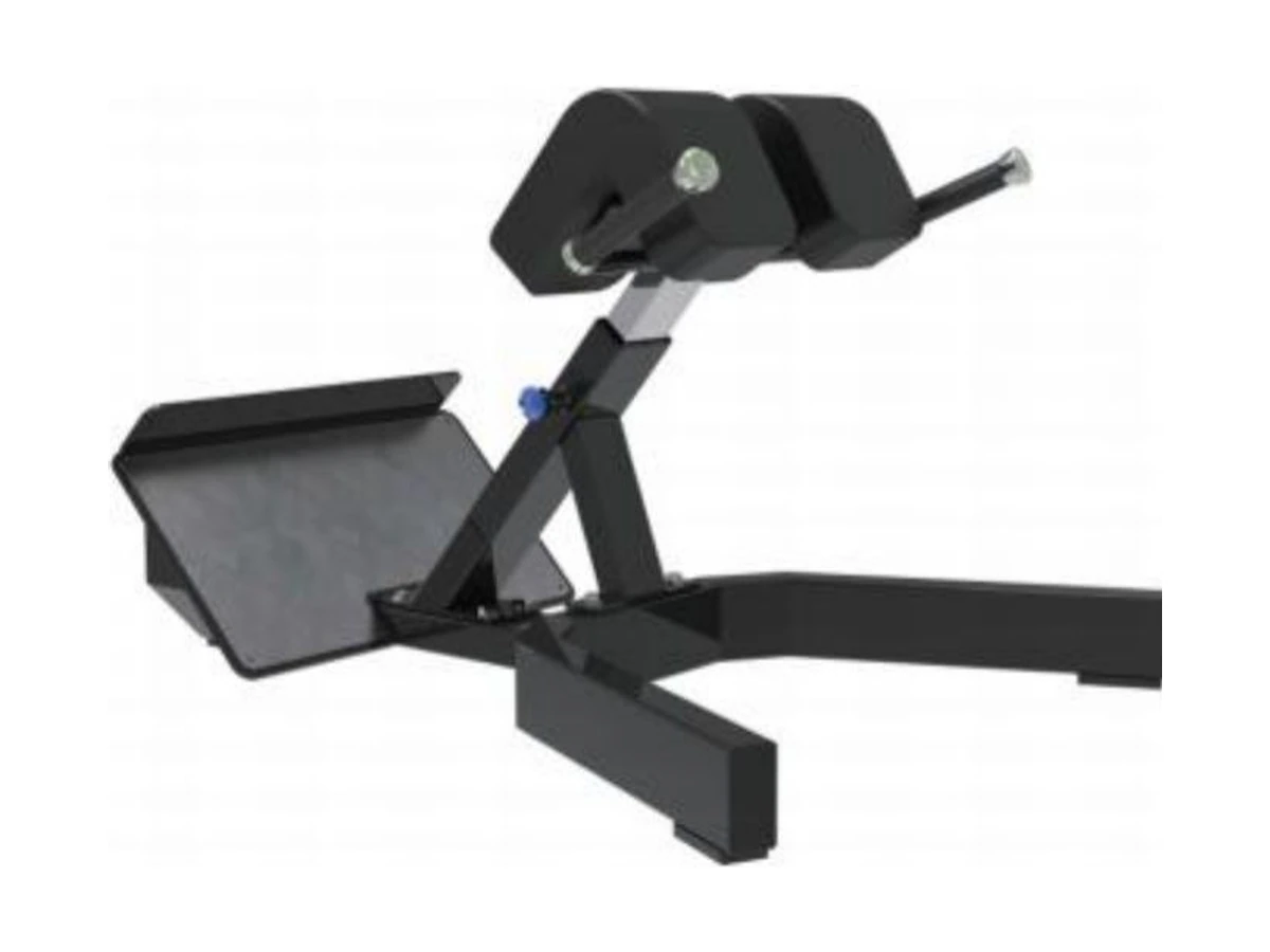Commercial Back Extension WDF-SL-036 équipement professionnel WDER