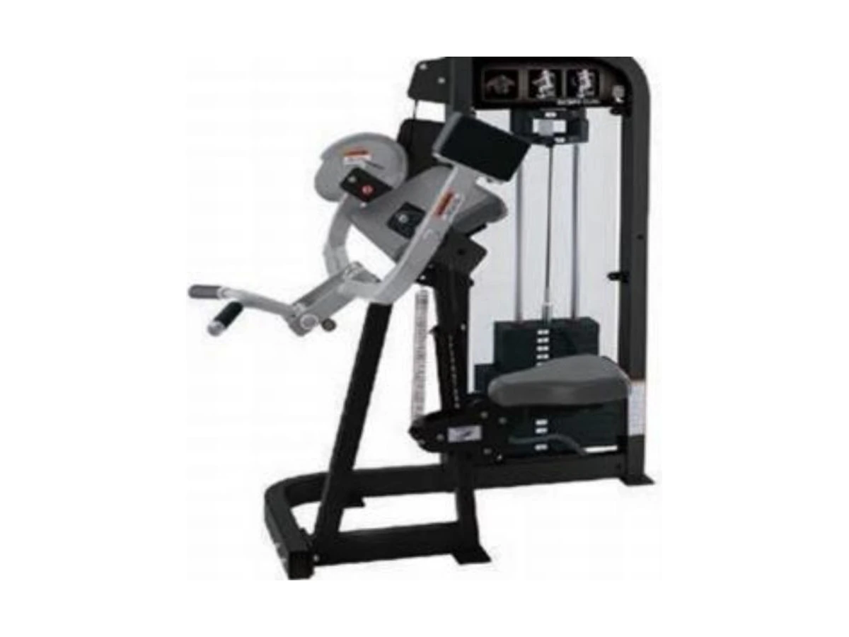 Commercial Bicep Trainer WDF-SL-046 WDER ticari spor salonu ekipmanı