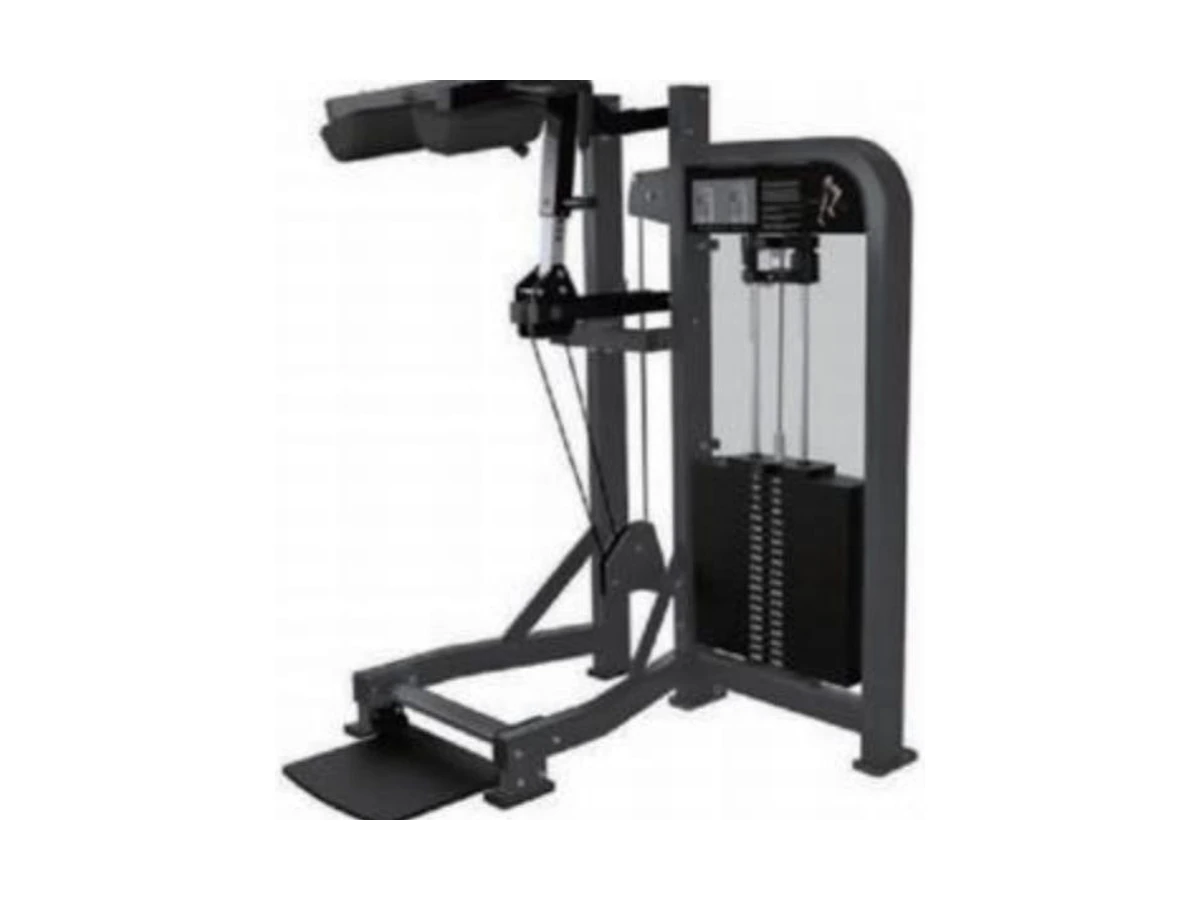 Commercial Standing Calf Trainer WDF-SL-048 WDER ticari spor salonu ekipmanı