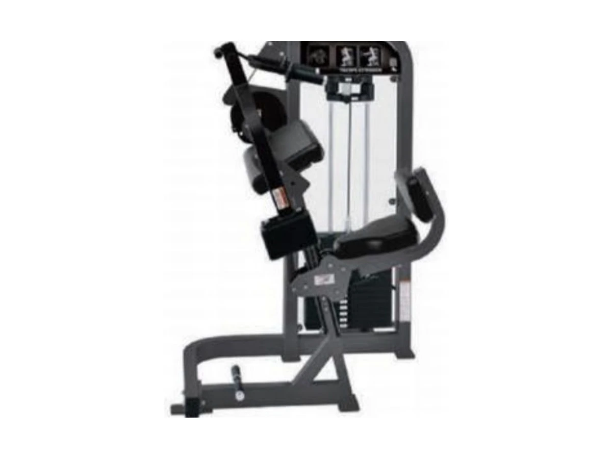Commercial Seated Triceps Press Machine WDF-SL-050 WDER ticari spor salonu ekipmanı