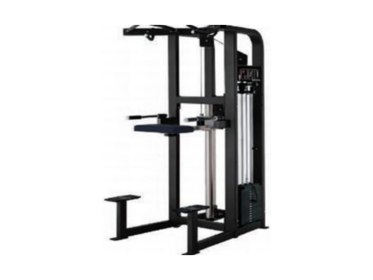 WDF-SL-051 assisted dip and chin machine commercial gym equipment