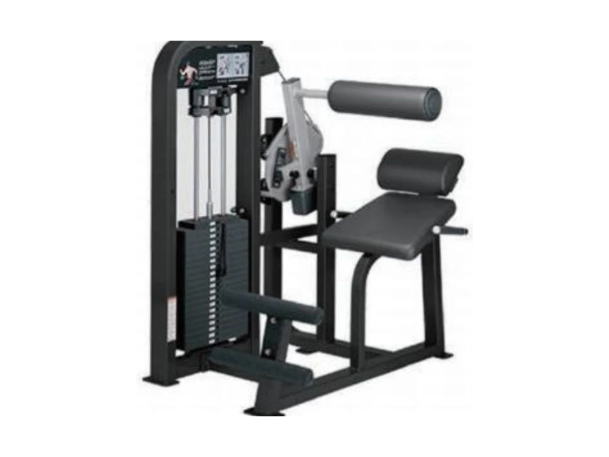 Commercial Back Extension Machine WDF-SL-054 WDER ticari spor salonu ekipmanı