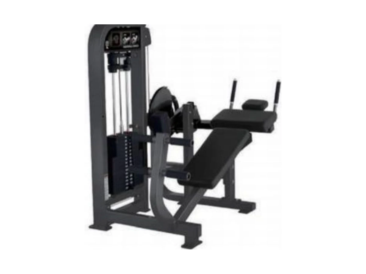 Commercial Abdominal Crunch Machine WDF-SL-055 WDER ticari spor salonu ekipmanı