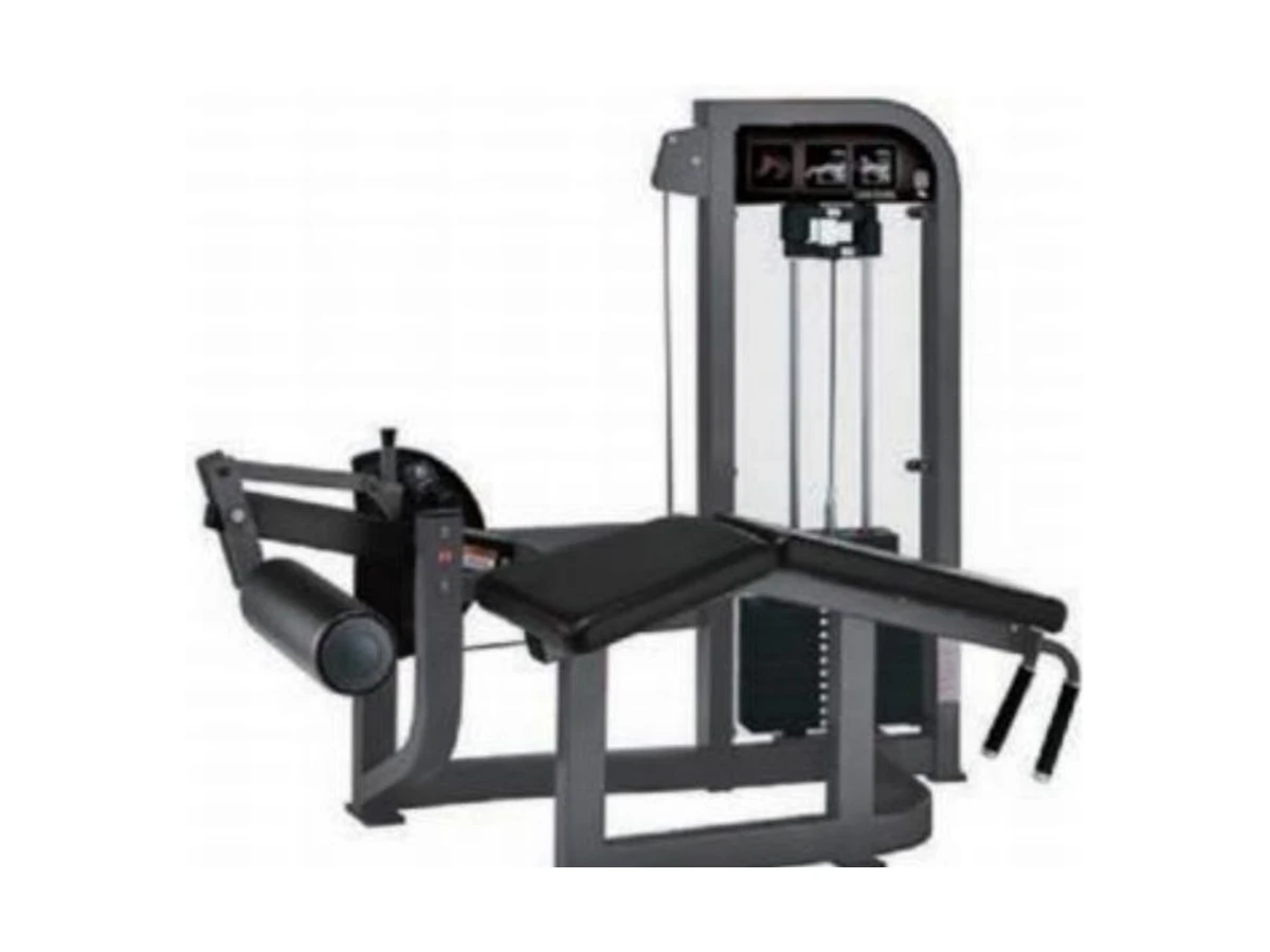 Commercial Prone Leg Curl Machine WDF-SL-057 WDER ticari spor salonu ekipmanı