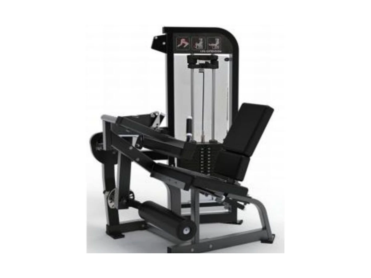 Commercial Leg Extension and Leg Curl Machine WDF-SL-060 WDER ticari spor salonu ekipmanı