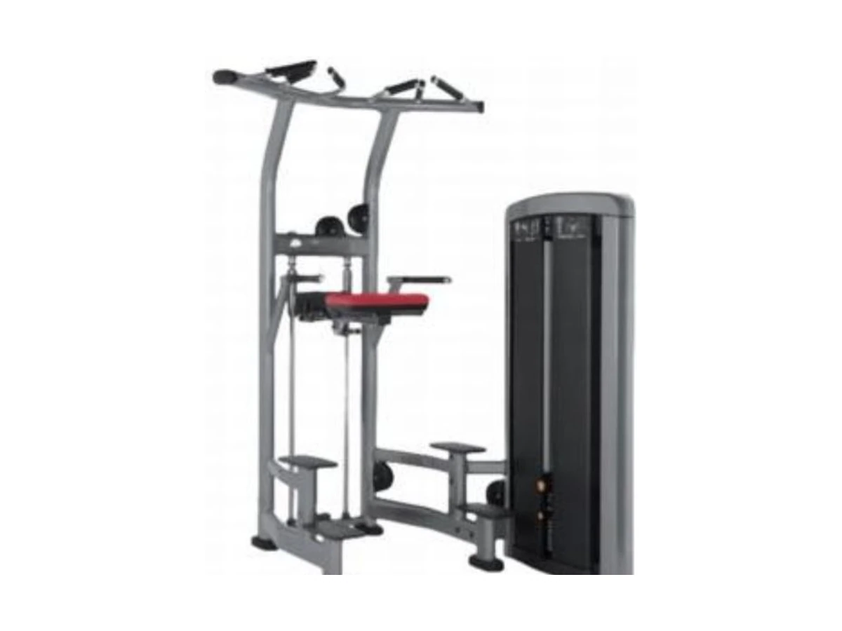 WDF-SL-064 assisted pull-up machine commercial gym equipment