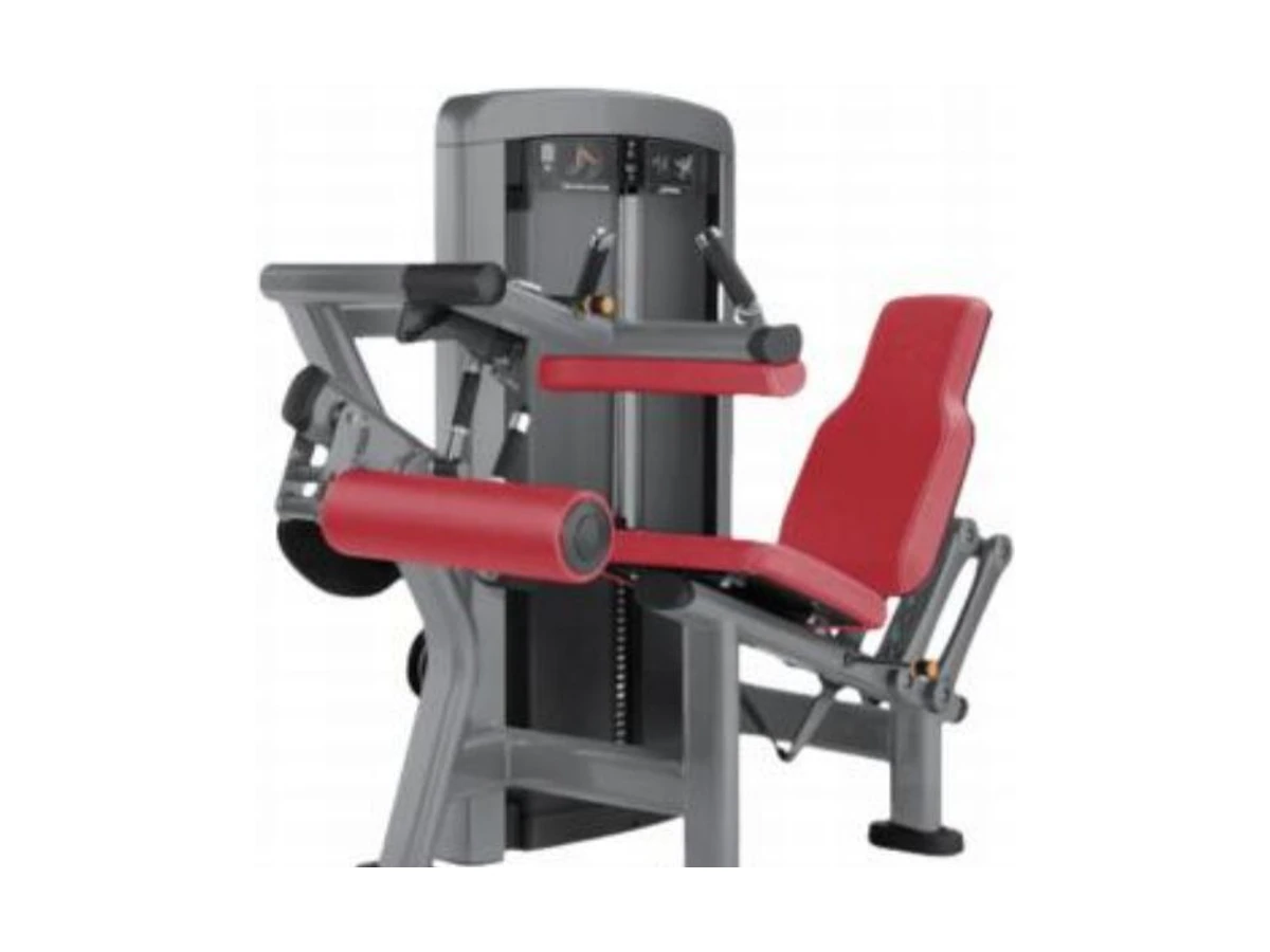 Commercial Leg Extension Machine WDF-SL-065 WDER ticari spor salonu ekipmanı