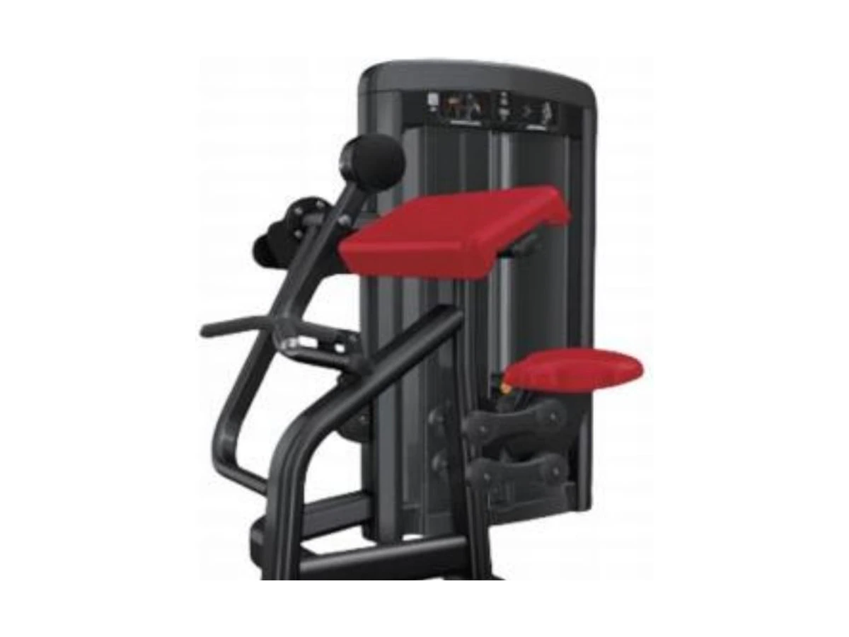 Commercial Biceps Curl Machine WDF-SL-073 WDER ticari spor salonu ekipmanı