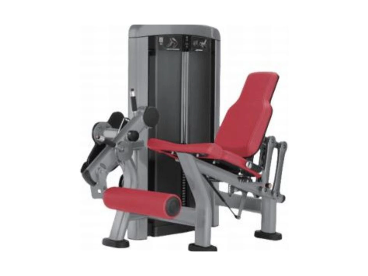 Commercial Leg Extension Machine WDF-SL-076 WDER ticari spor salonu ekipmanı