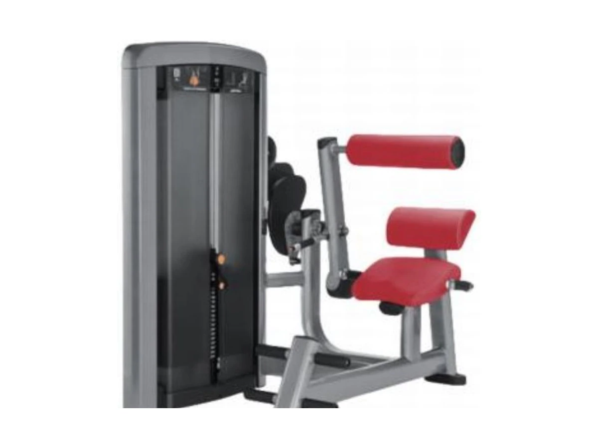 WDF-SL-079 abdominal and back extension machine commercial gym equipment