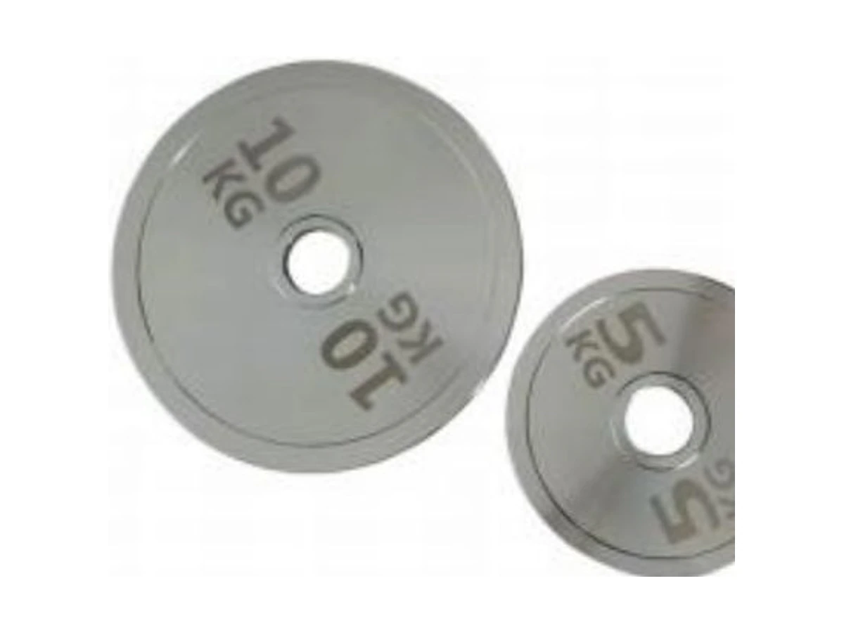 WDF-WP-011 galvanized steel weight plate commercial gym equipment