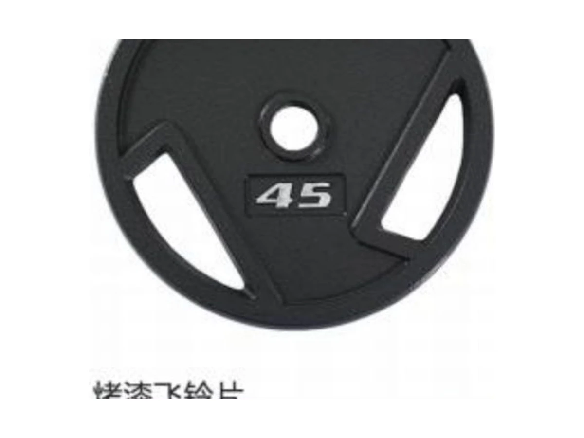 WDF-WP-015 baked-enamel flywheel plate commercial gym equipment